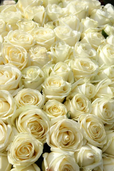 Group of white roses in floral wedding decorations — Stock Photo, Image