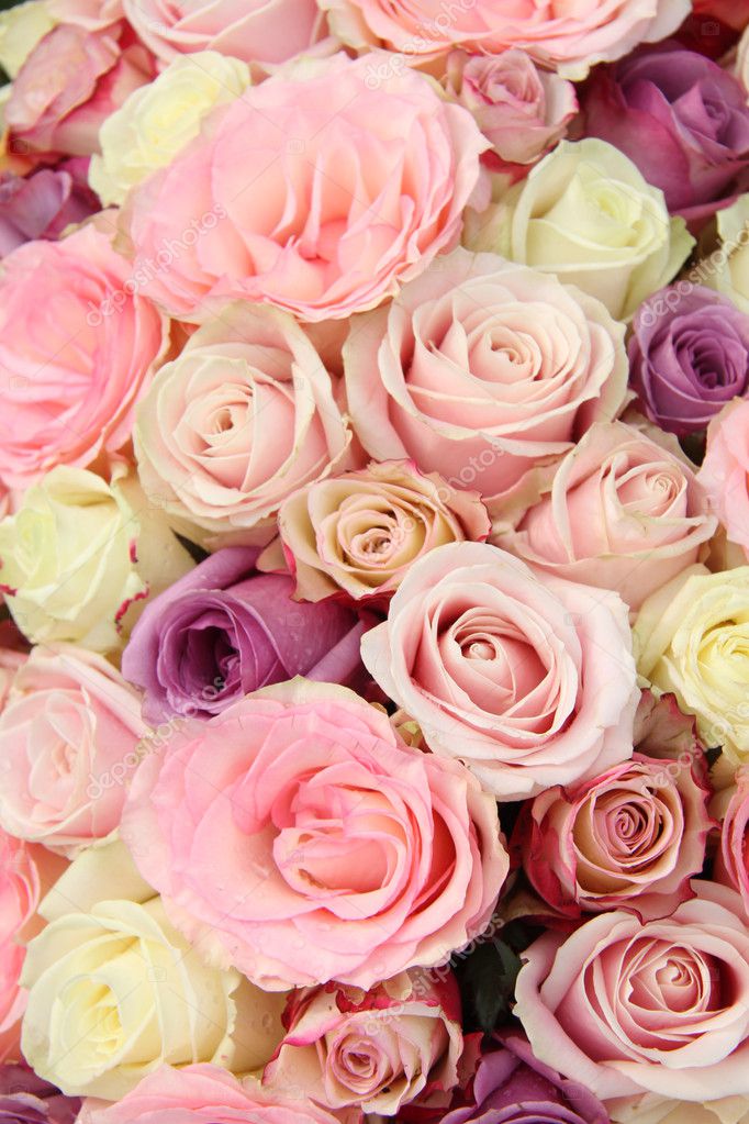 Pastel wedding roses — Stock Photo © portosabbia 25590581