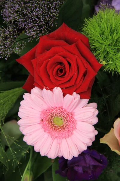 Ślub porozumieniu w czerwony, różowy i fioletowy — Zdjęcie stockowe