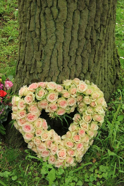 Flores de simpatía en forma de corazón — Foto de Stock