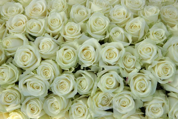 组的白玫瑰，婚礼装饰 — 图库照片