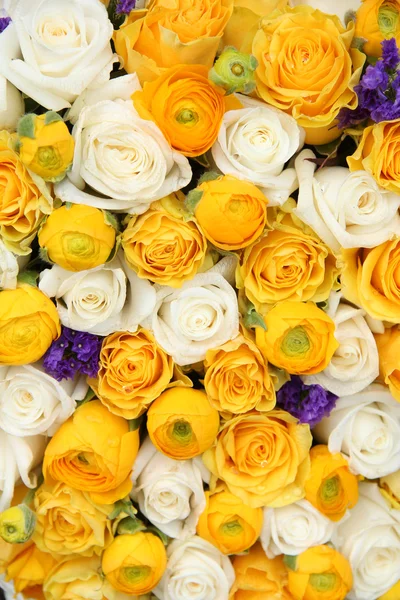 黄色和白色的新娘花 — 图库照片