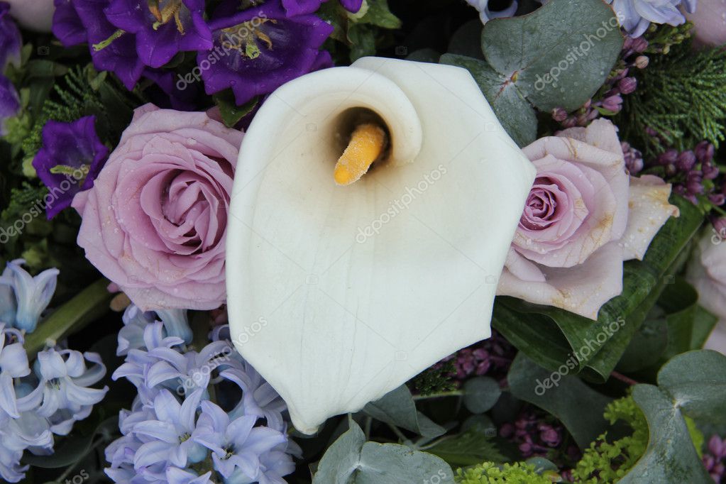 Calla Lily In A Blue Purple Arrangement Stock Photo