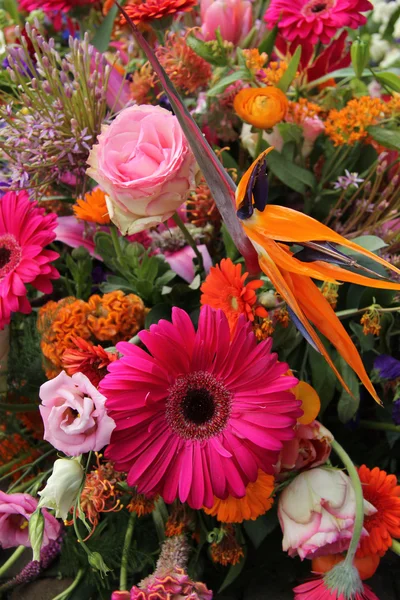 Blomsterarrangemang i rosa, rött och orange — Stockfoto