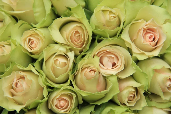 Rosas rosadas pálidas en un arreglo de boda —  Fotos de Stock