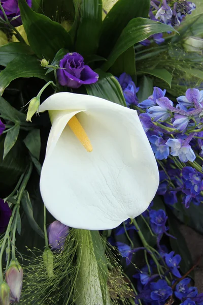 Calla Lily and blue bridal bouquet — Stock Photo, Image