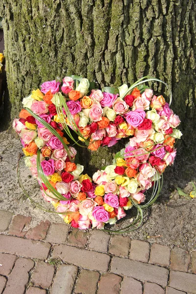 Flores de simpatía en forma de corazón — Foto de Stock
