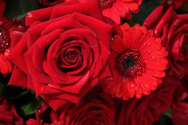 Rode rozen en gerbera 's — Stockfoto