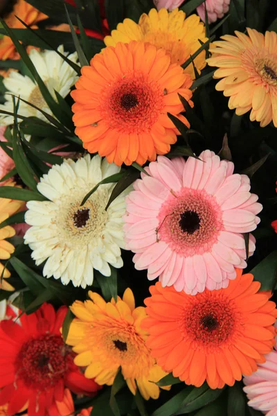 Bouquet di gerbera — Foto Stock