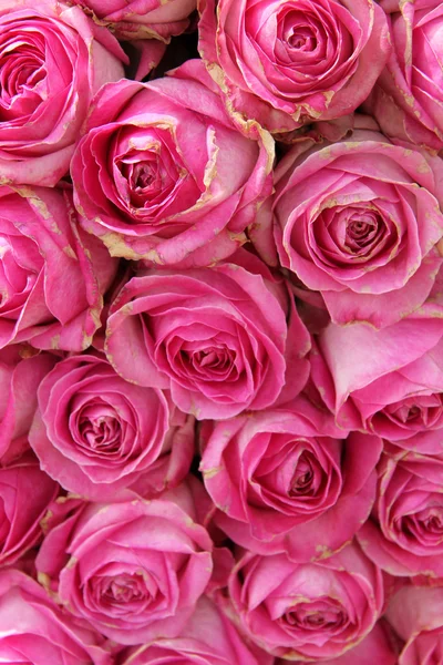 Big pink roses in a wedding centerpiece — Stock Photo, Image