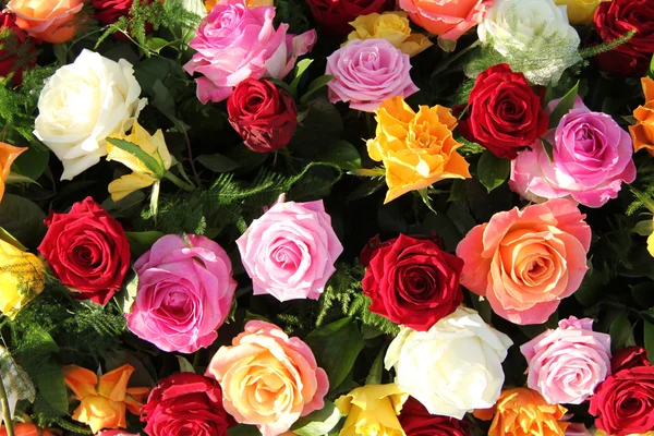 Multicolored roses in flower arrangement — Stock Photo, Image