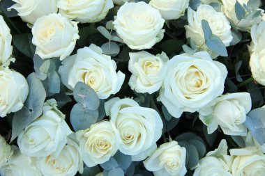 dekorasyon düğün beyaz gül grubu