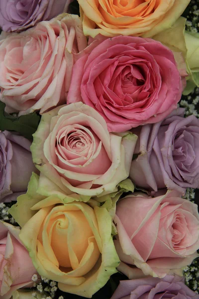 Rosas nupciais em cores suaves — Fotografia de Stock