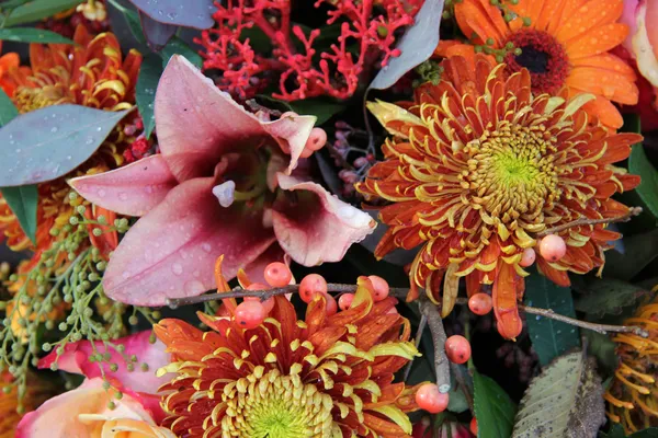 秋天的花束 — 图库照片