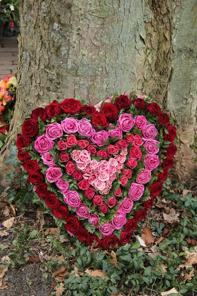同情鲜花在红色和粉色心形 — 图库照片