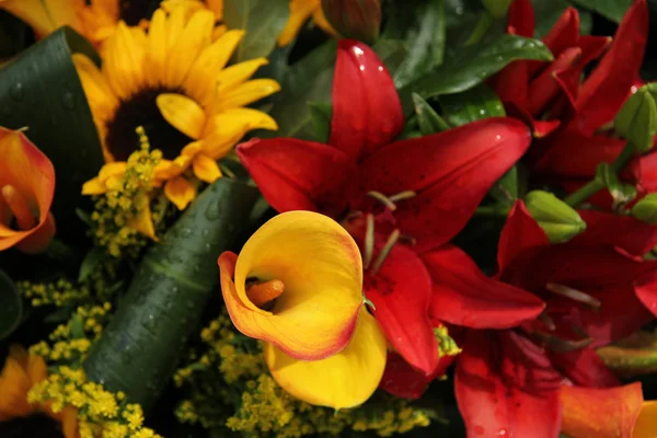 Букет Лили в желтом и красном — стоковое фото