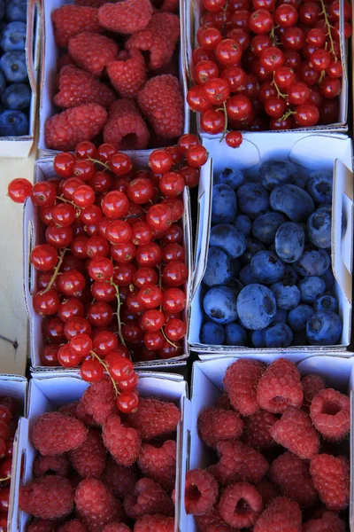 Berries in boxes — Stock Photo, Image