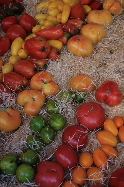 Tomater på en provencalsk marknad — Stockfoto