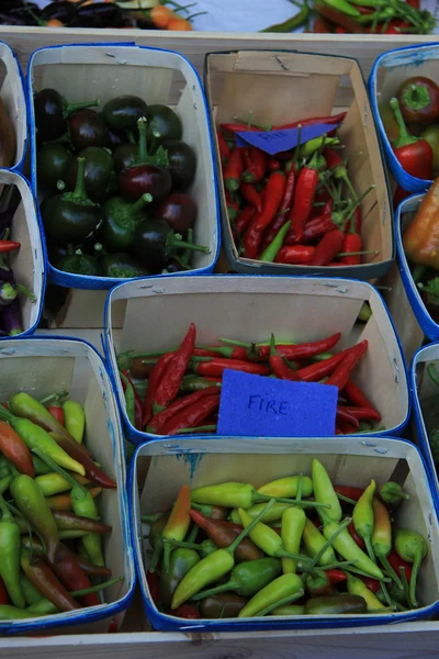 Pimentos — Fotografia de Stock