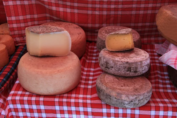 Käse auf einem französischen Markt — Stockfoto