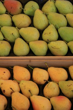 Armut ahşap kasalar içinde