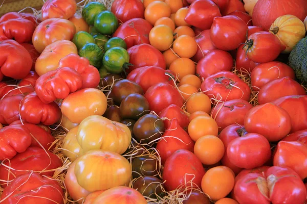 Tomaten in diverse kleuren — Stockfoto