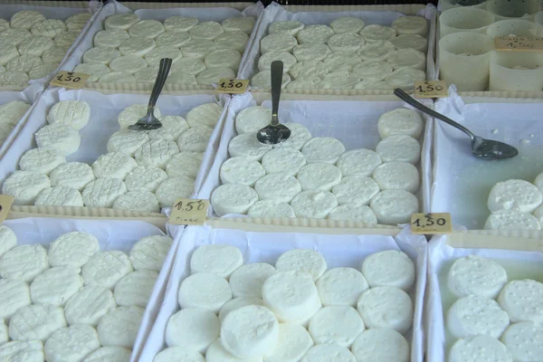 Κατσικίσιο τυρί σε μια προβηγκιανή αγορά — Φωτογραφία Αρχείου