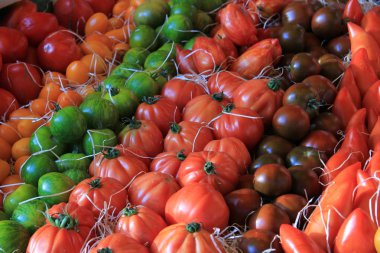 domates provencal pazarı