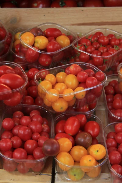 Kleine tomaten op een markt — Stockfoto