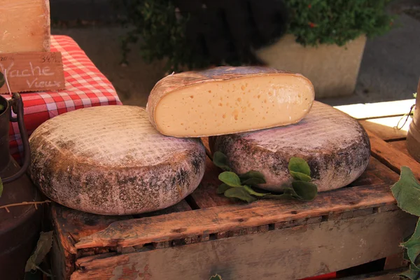 Cheese at a market — Stock Photo, Image