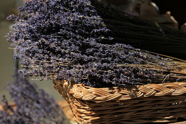 Lavendel i en flätad korg — Stockfoto