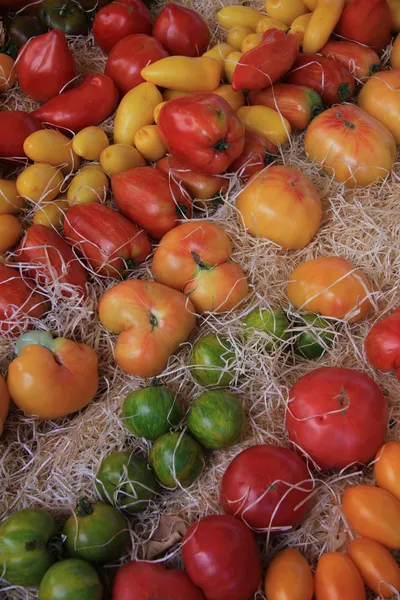 Tomates num mercado Provençal — Fotografia de Stock