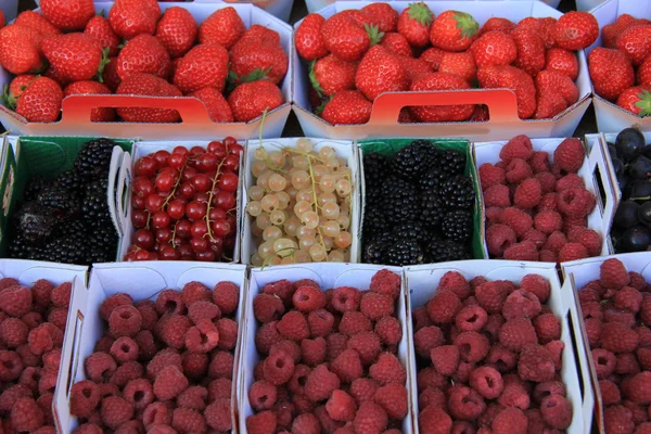 Beeren in Schachteln — Stockfoto