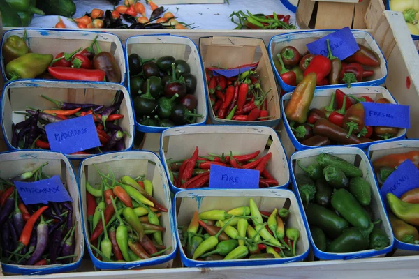 Papriky na trhu — Stock fotografie
