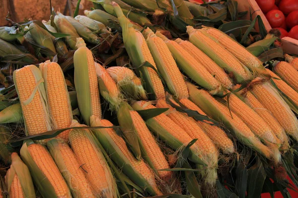 Свежая кукуруза на рынке — стоковое фото