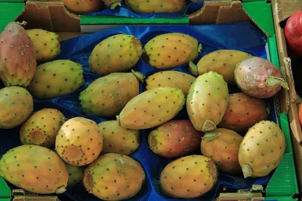 Cactus vigs op een markt — Stockfoto