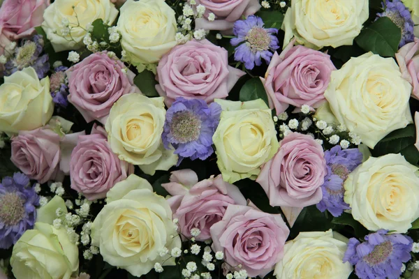 Rosas de boda púrpura y blanca —  Fotos de Stock