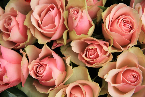 Arreglo nupcial, flores rosas — Foto de Stock