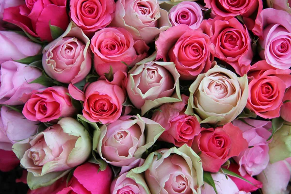 Roses de mariage roses — Photo