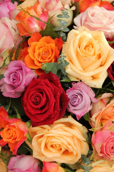 Colorato bouquet di rose — Foto Stock