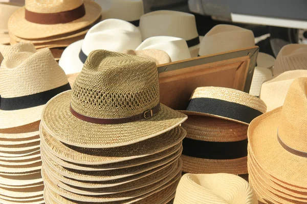 Panama hats — Stock Photo, Image