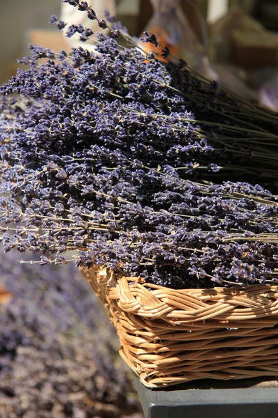 Lavender in a wicker basket — Stock Photo, Image