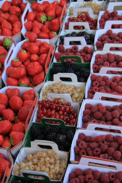 Beeren in Schachteln — Stockfoto