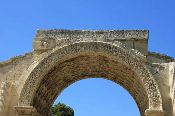 Triumfalny glanum — Zdjęcie stockowe