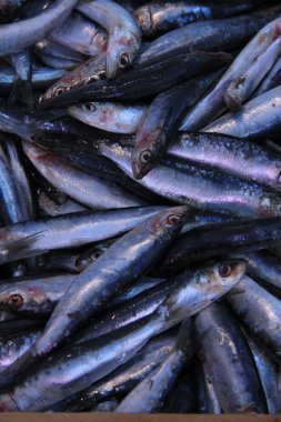 bir markette taze yaptı