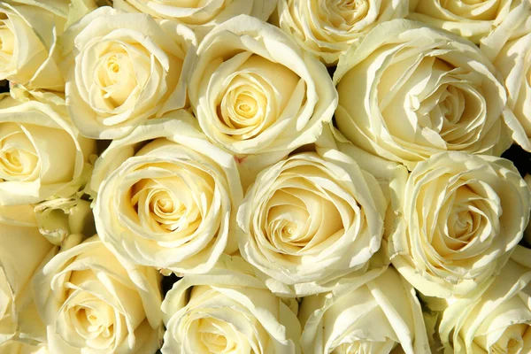 Skupina bílých růží v květinové svatební dekorace — Stock fotografie