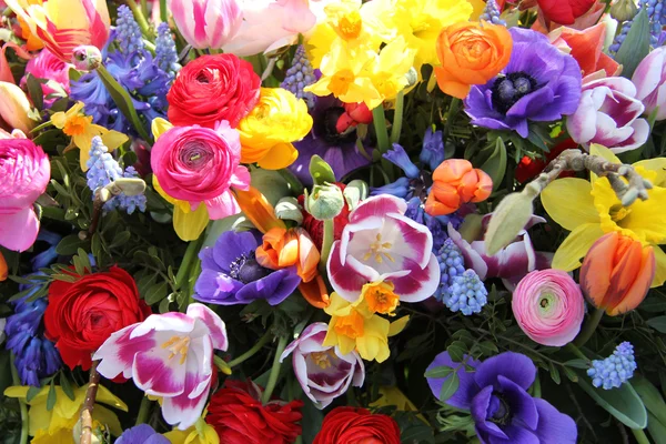 Flores de primavera em cores brilhantes — Fotografia de Stock