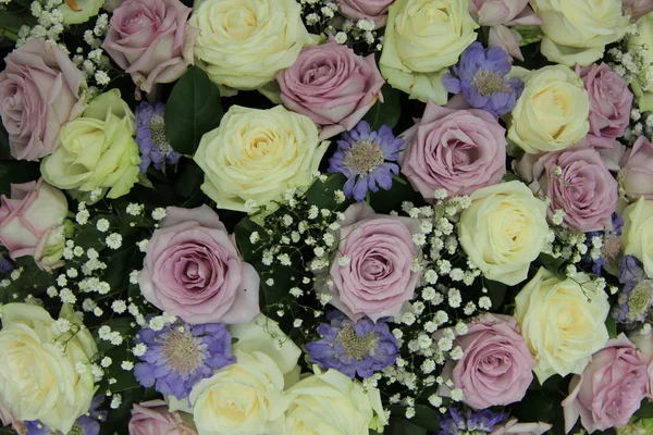 Rosas de casamento roxas e brancas — Fotografia de Stock