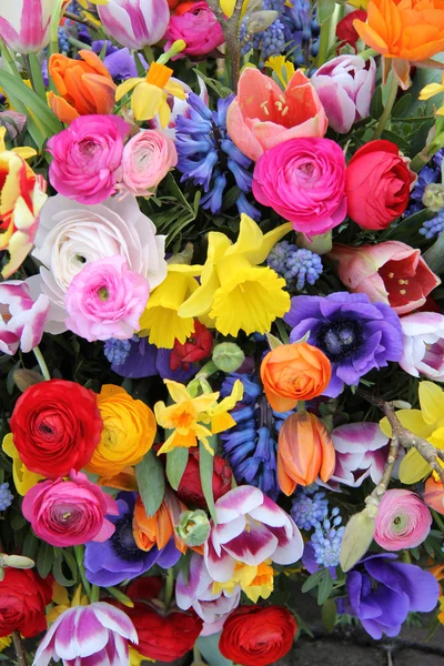 Lentebloemen in felle kleuren — Stockfoto