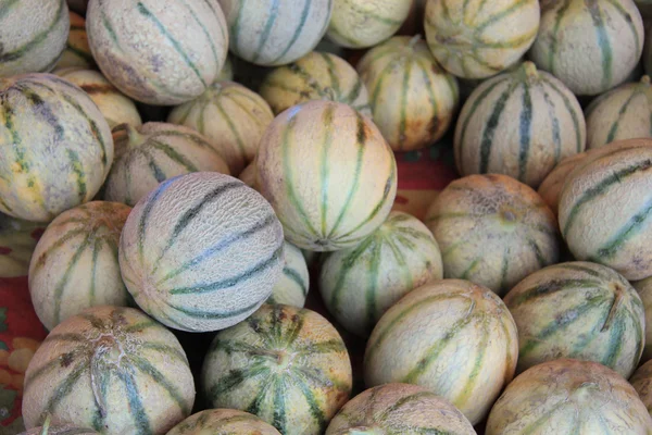 Melony kantalupa — Zdjęcie stockowe